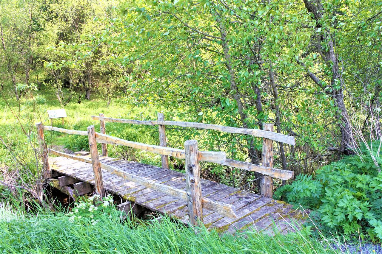 Solheimar Eco-Village Guesthouse Kültér fotó