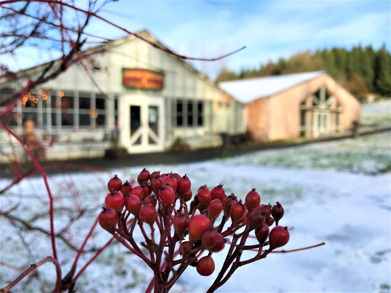 Solheimar Eco-Village Guesthouse Kültér fotó